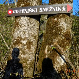 GOZDNI REZERVAT GOTENISKI SNEZNIK