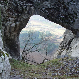 GOZDNI REZERVAT KUZELJSKA STENA