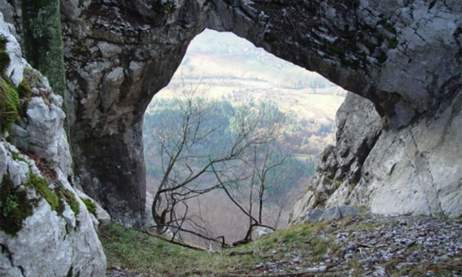 GOZDNI REZERVAT KUZELJSKA STENA