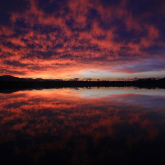 10 Skrivnostni Gozd Kocevsko Jezero min